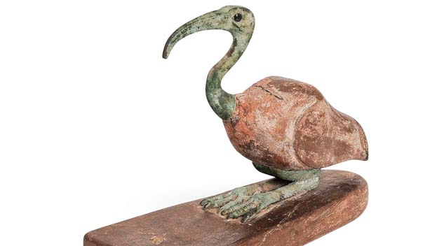 Ancient Ibis Flies For Akiba Galleries